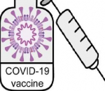 Des dommages au foie dus au vaccin contre la COVID-19